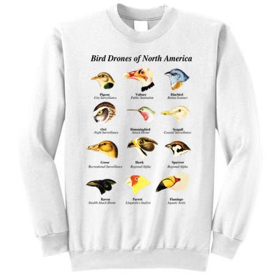 Bird Drones Of North America Sweatshirt