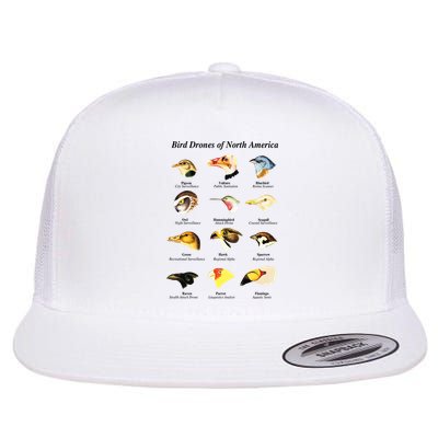 Bird Drones Of North America Flatbill Hat