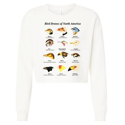 Bird Drones Of North America Cropped Pullover Crew