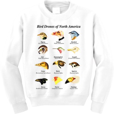Bird Drones Of North America Kids Sweatshirt
