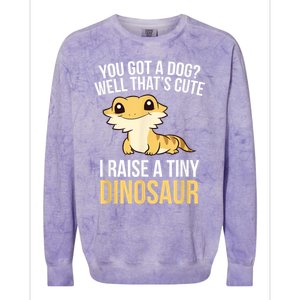 Bearded Dragon Pet I Raise A Tiny Dinosaur Bearded Dragon Colorblast Crewneck Sweatshirt