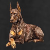 Brown Doberman Pinscher Adult Drive Performance Visor
