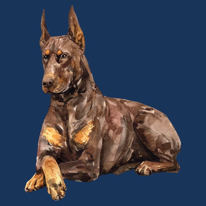 Brown Doberman Pinscher Cooling Performance Crew T-Shirt