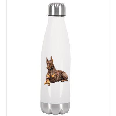 Brown Doberman Pinscher Stainless Steel Insulated Water Bottle