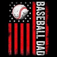 Baseball Dad Player American Us Flag Patriotic Poster