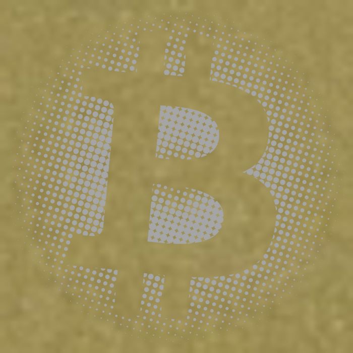 Bitcoin Dot Pattern Garment-Dyed Women's Muscle Tee