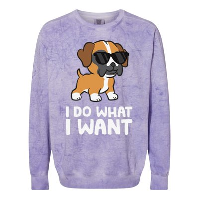 Boxer Dog Pet Boxer Dog I Do What I Want Colorblast Crewneck Sweatshirt