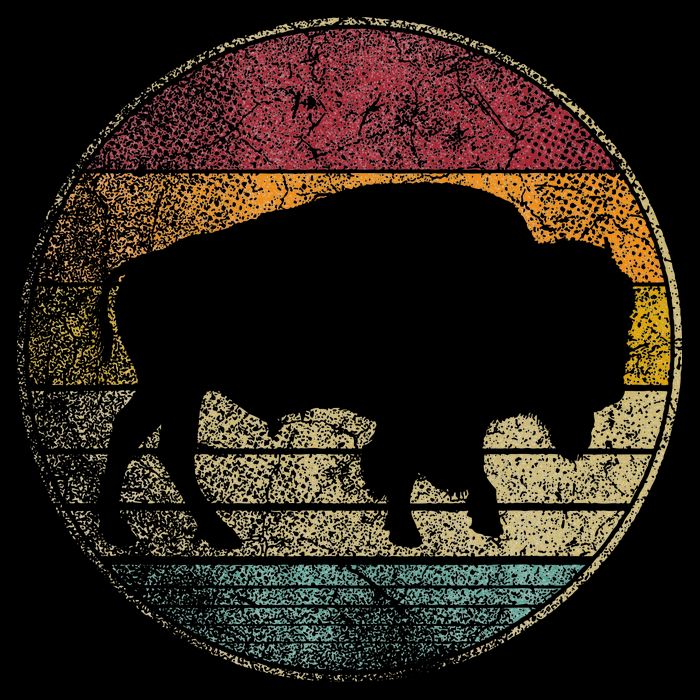 Buffalo Distressed Retro Bison Animal Lover Wool Snapback Cap
