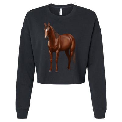 Beautiful Dark Sorrel Chestnut Quarter Horse Lover Retro Cropped Pullover Crew