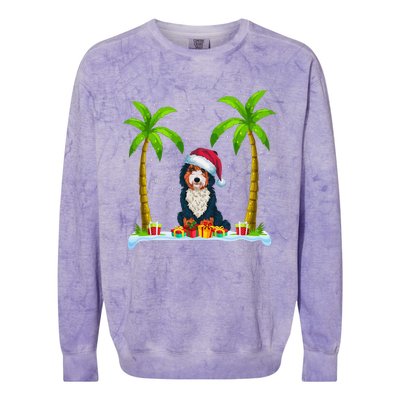 Bernedoodle Dog Santa Hat Palm Tree Beach Xmas Pajama Colorblast Crewneck Sweatshirt