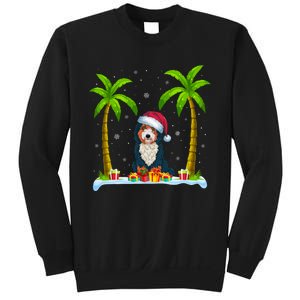 Bernedoodle Dog Santa Hat Palm Tree Beach Xmas Pajama Sweatshirt