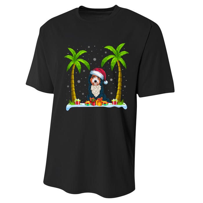 Bernedoodle Dog Santa Hat Palm Tree Beach Xmas Pajama Performance Sprint T-Shirt