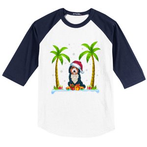 Bernedoodle Dog Santa Hat Palm Tree Beach Xmas Pajama Baseball Sleeve Shirt