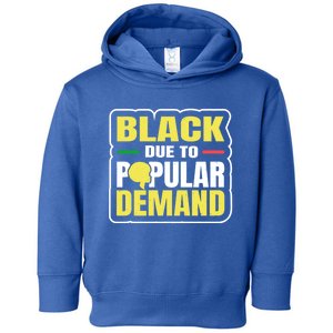 Black Due To Popular Ded History Melanin Equality Gift Toddler Hoodie