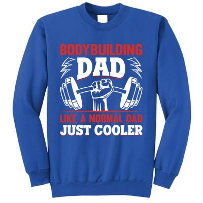 Bodybuilding Daddy Training Fitness Gym Powerlifting Dad Gift Sweatshirt