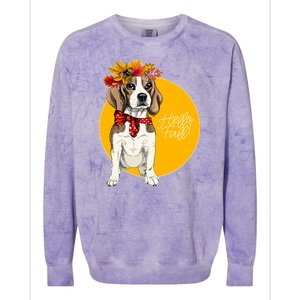 Beagle Dog Wearing Autumn leaves Crown Hello fall Colorblast Crewneck Sweatshirt