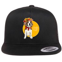 Beagle Dog Wearing Autumn leaves Crown Hello fall Flatbill Hat