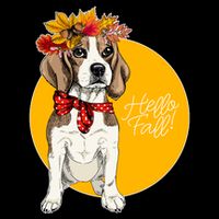 Beagle Dog Wearing Autumn leaves Crown Hello fall Wool Snapback Cap