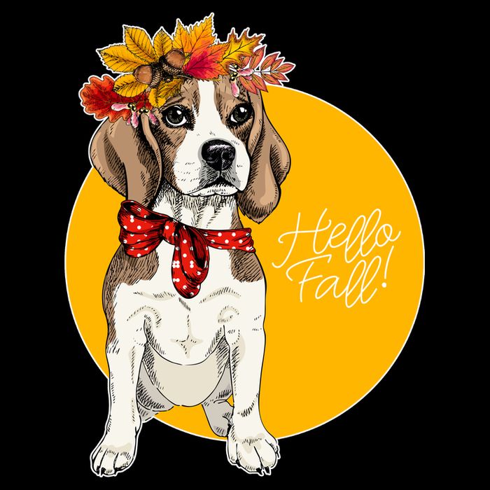 Beagle Dog Wearing Autumn leaves Crown Hello fall Wool Snapback Cap