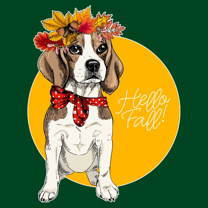 Beagle Dog Wearing Autumn leaves Crown Hello fall Poster