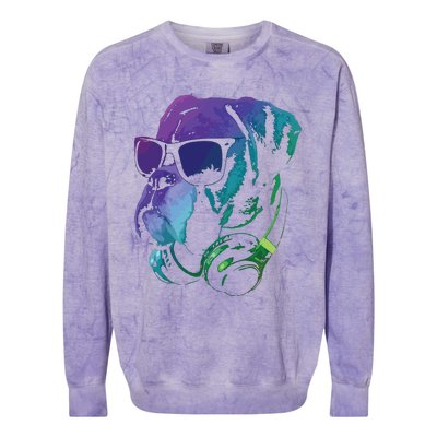 Boxer Dog With Sunglasses And Headphones Colorblast Crewneck Sweatshirt