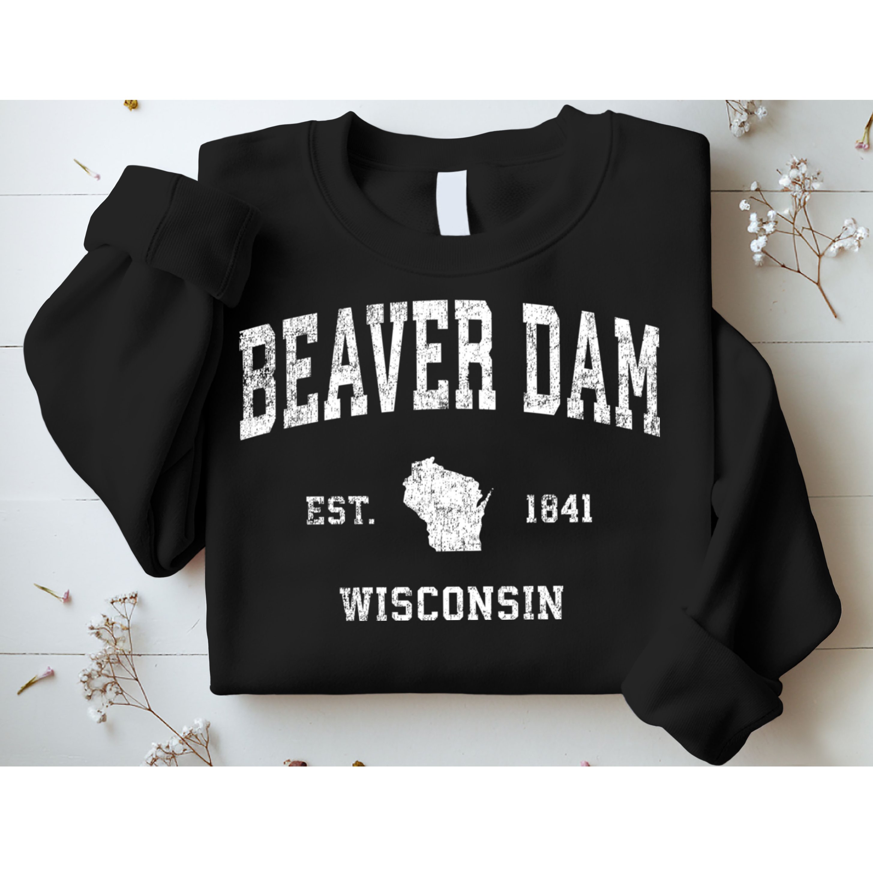Beaver Dam Wisconsin Wi Vintage Sports Sweatshirt