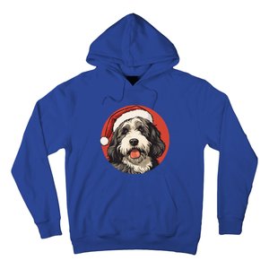 Bernedoodle Dog Xmas Doodle Dood Cute Christmas Bernedoodle Gift Hoodie