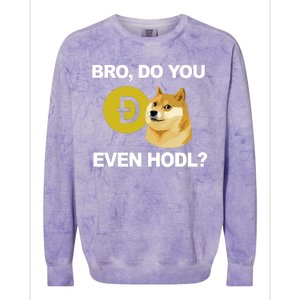 Bro Do You Even Hodl Funny Doge Coin Crypto Colorblast Crewneck Sweatshirt