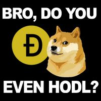Bro Do You Even Hodl Funny Doge Coin Crypto City Backpack