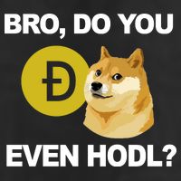 Bro Do You Even Hodl Funny Doge Coin Crypto Adult Drive Performance Visor