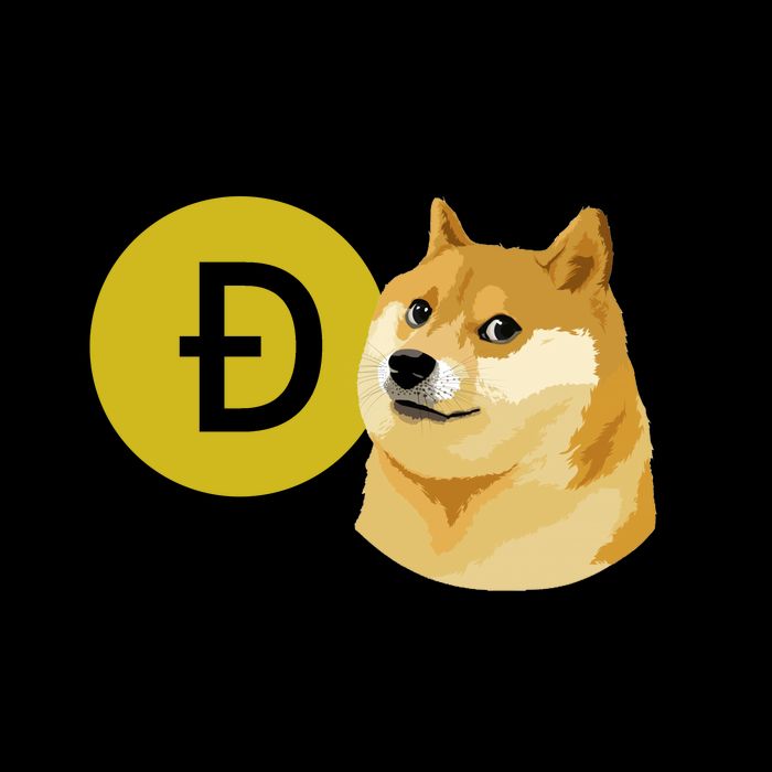 Bro Do You Even Hodl Funny Doge Coin Crypto Mug