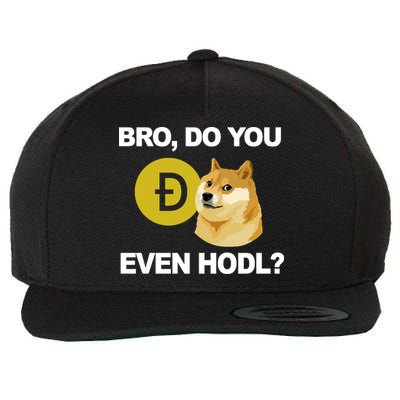 Bro Do You Even Hodl Funny Doge Coin Crypto Wool Snapback Cap
