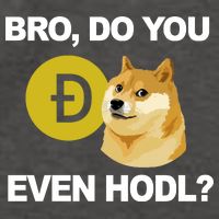 Bro Do You Even Hodl Funny Doge Coin Crypto Vector Backpack