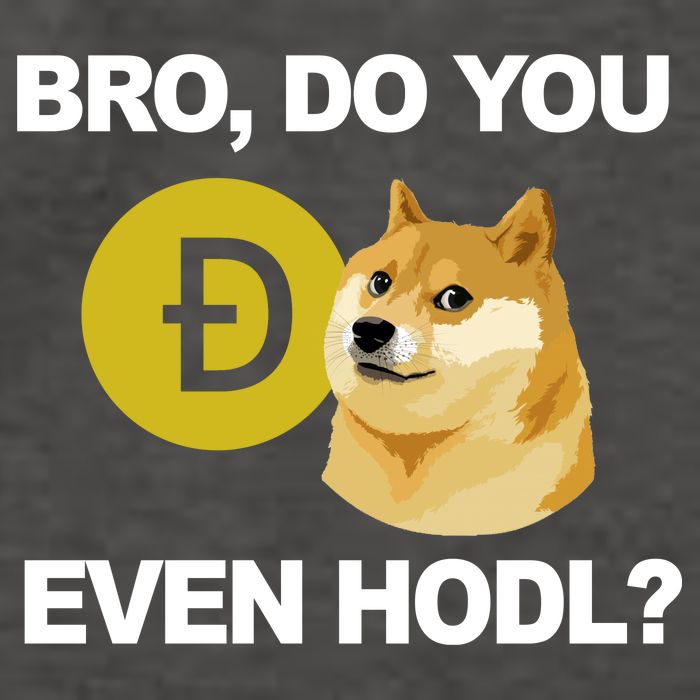 Bro Do You Even Hodl Funny Doge Coin Crypto Vector Backpack
