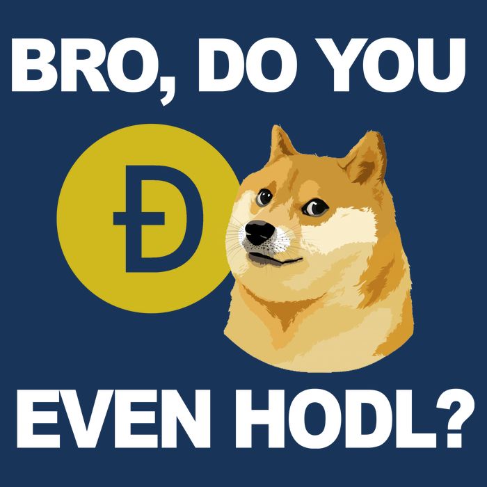 Bro Do You Even Hodl Funny Doge Coin Crypto Cool Comfort Performance Bucket Hat