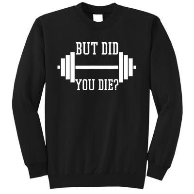 BUT DID YOU DIE? Funny Gym Weight Lifting Fitness Gift Sweatshirt