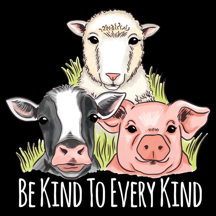 Be Kind To Every Kind Vegan Kids T-Shirt