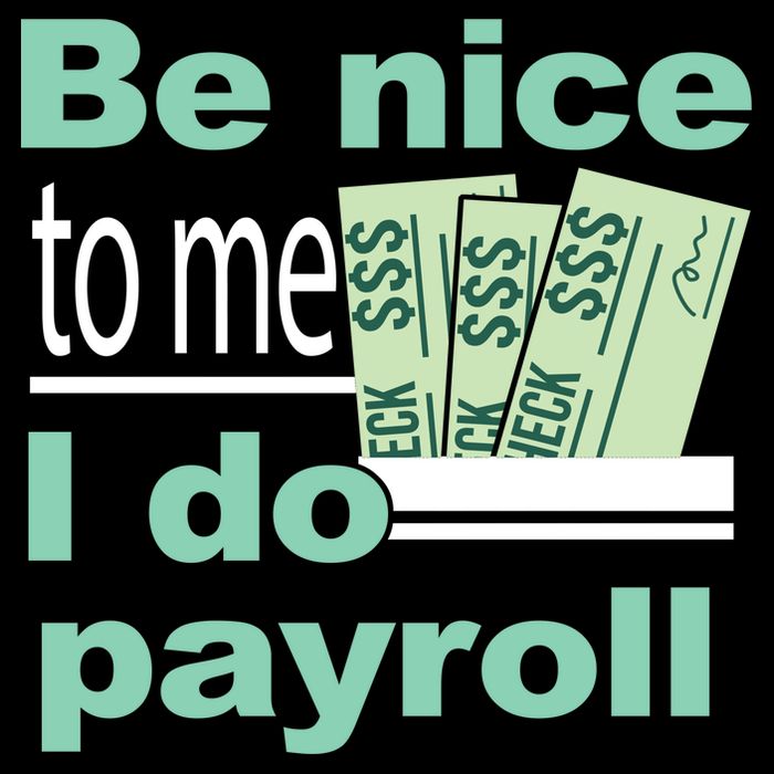Be Nice To Me I Do Payroll Women's V-Neck T-Shirt
