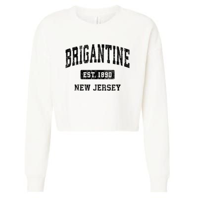 Brigantine Est 1890 New Jersey Nj Vintage Established Athletic Sports Design Cropped Pullover Crew