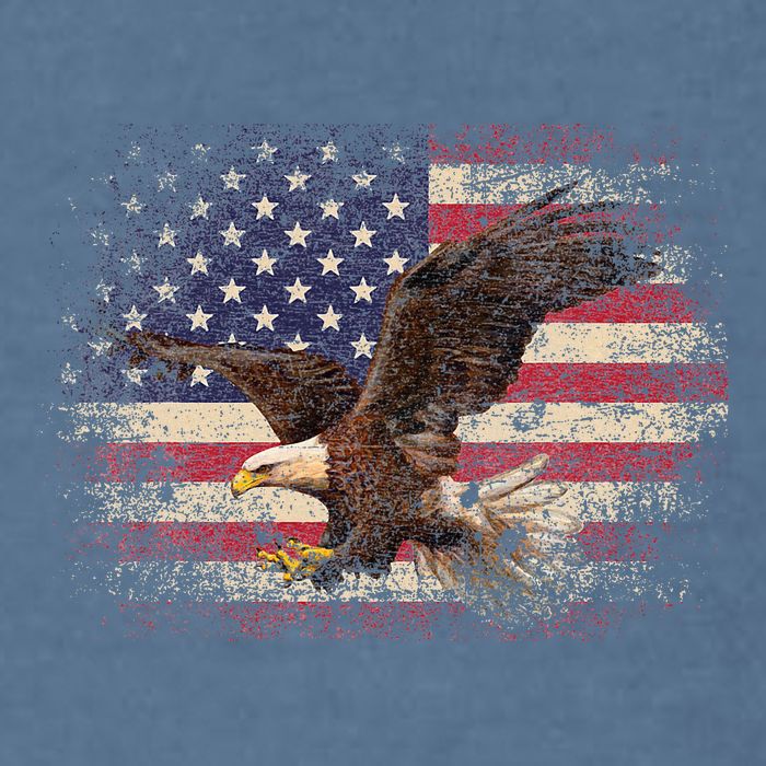 Bald Eagle 4th Of July Christmas Gift American Flag Garment-Dyed Sweatshirt