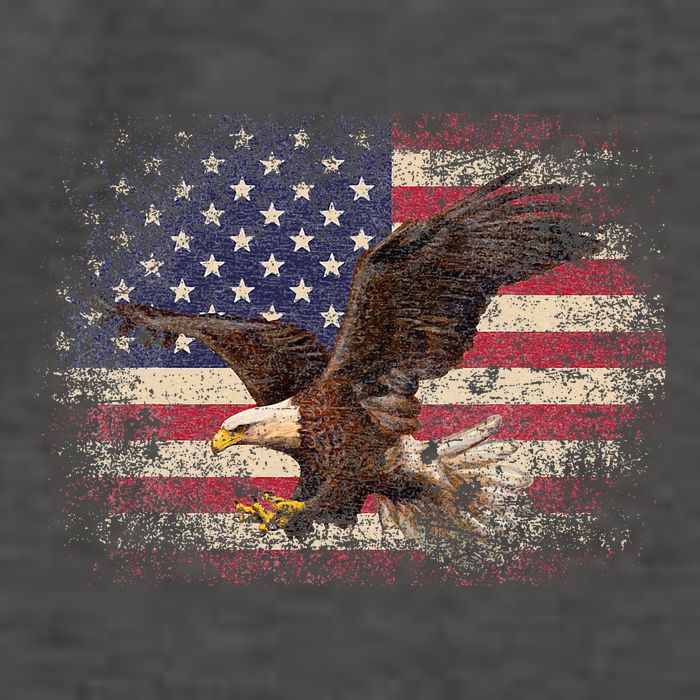 Bald Eagle 4th Of July Christmas Gift American Flag Vector Backpack