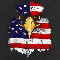 Bald Eagle 4th of July American Flag Patriotic Freedom USA 7 Panel Mesh Trucker Snapback Hat