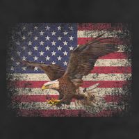 Bald Eagle 4th Of July Christmas Gift American Flag Country 7 Panel Mesh Trucker Snapback Hat
