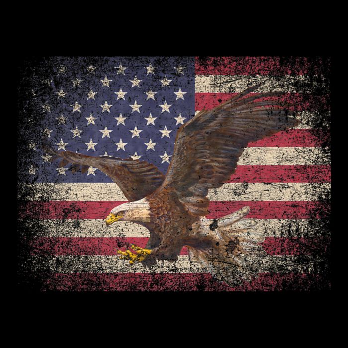 Bald Eagle 4th Of July Christmas Gift American Flag Country Cooling Performance Long Sleeve Crew