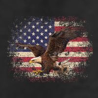 Bald Eagle 4th Of July Christmas Gift American Flag 7 Panel Mesh Trucker Snapback Hat