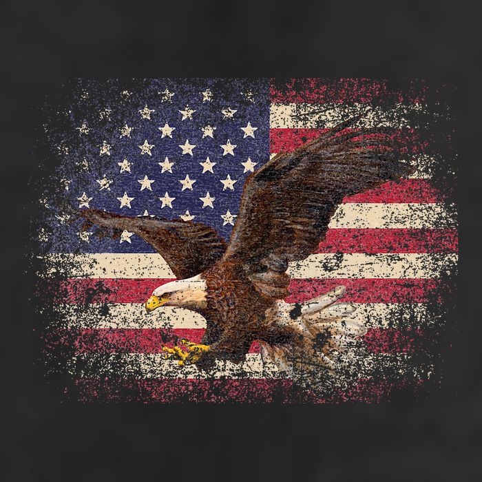 Bald Eagle 4th Of July Christmas Gift American Flag 7 Panel Mesh Trucker Snapback Hat