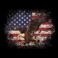 Bald Eagle 4th Of July Christmas Gift American Flag Impact Tech Backpack