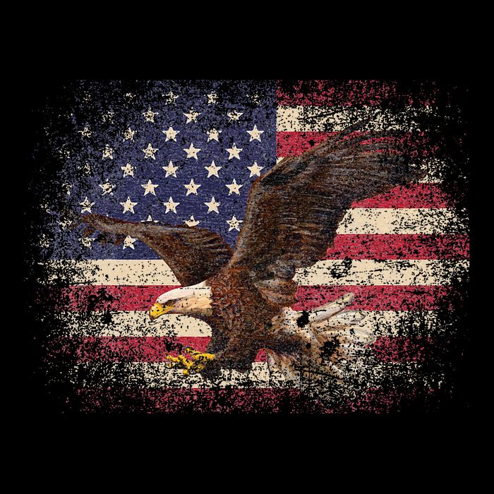 Bald Eagle 4th Of July Christmas Gift American Flag Impact Tech Backpack