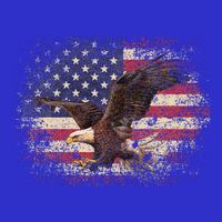 Bald Eagle 4th Of July Christmas Gift American Flag 16 in Basic Backpack