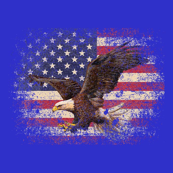 Bald Eagle 4th Of July Christmas Gift American Flag 16 in Basic Backpack
